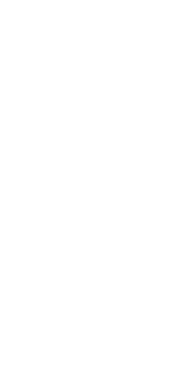 Shape Image